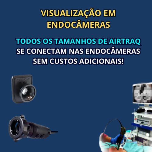 Visualização com Endocameras